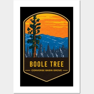 Boole Tree Converse Basin Grove Posters and Art